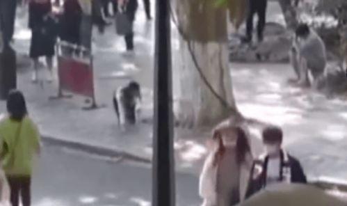 风景爆料女主播视频大全,带你领略自然之美 第1张 风景爆料女主播视频大全,带你领略自然之美 第1张